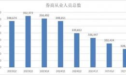 国产精品水印,匠心独运，传承文化之美